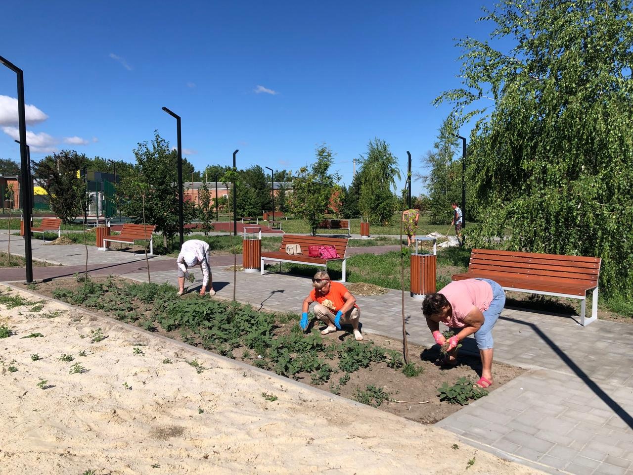 Волонтеры клуба "Хуторянка" приняли участие в Районном фотоконкурсе, серебряные волонтеры - в наведении порядка на территории парка хутор Кавалерский